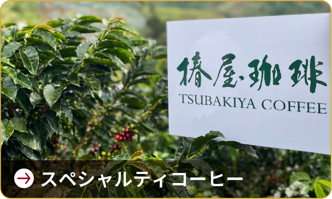 スペシャルティコーヒー